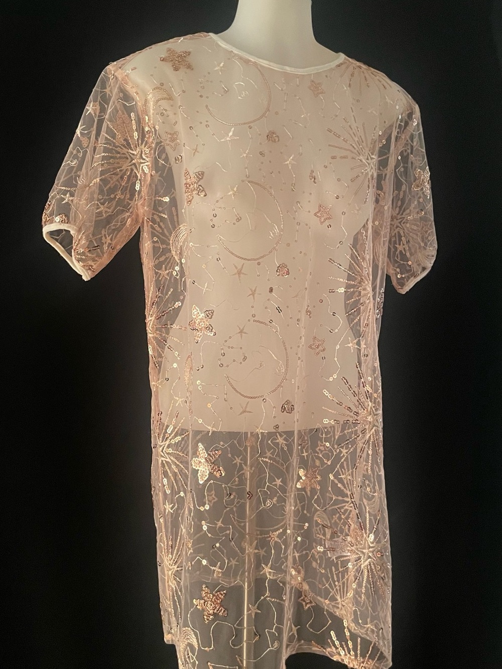 Sheer Sequin Embellished Shift Dress *NWT*
